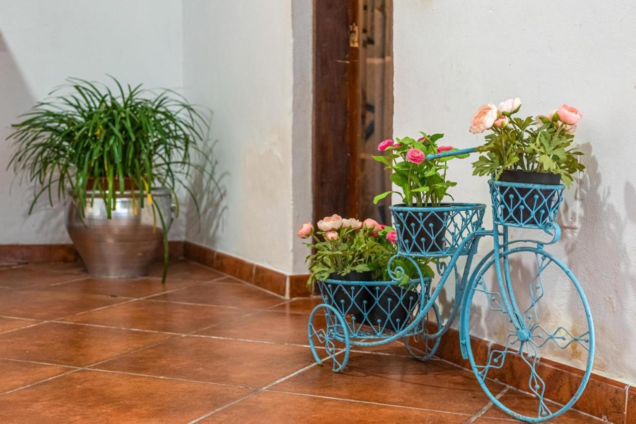 Vakantiehuis Ca Sa Cristeta De Sescola